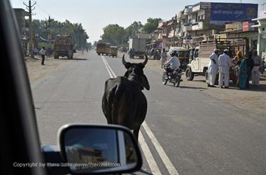02 PKW-Reise_Jodhpur-Mount_Abu_DSC3919_b_H600